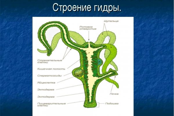 Мега даркнет ссылка зеркало